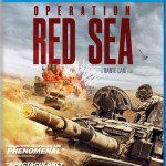 Operation Red Sea