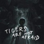 Tigers Are Not Afraid