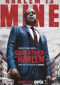 Godfather of Harlem S03E10